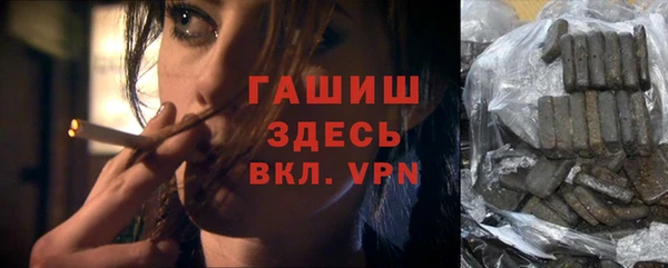 крисы Мегион