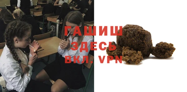 крисы Мегион