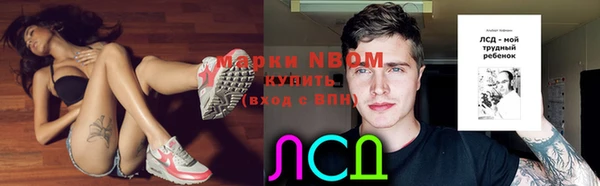 дурь Медвежьегорск