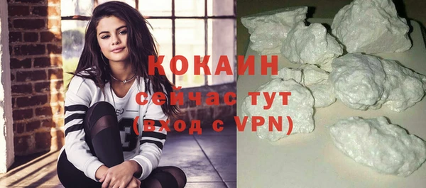 крисы Мегион